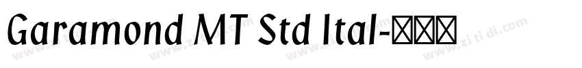 Garamond MT Std Ital字体转换